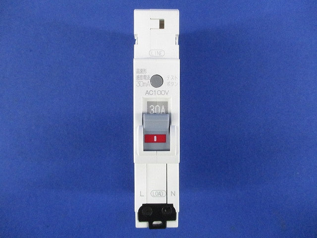 漏電ブレーカ 2P1E30A AC100V PG31A2P1E30A