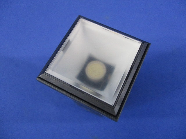 角形表示灯 DP36S1N-WT3