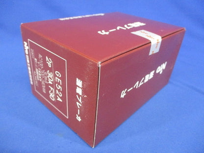 漏電ブレーカ 2P30AF30 30ｍA AC100-200-240V共用 GE52A2P30AF30