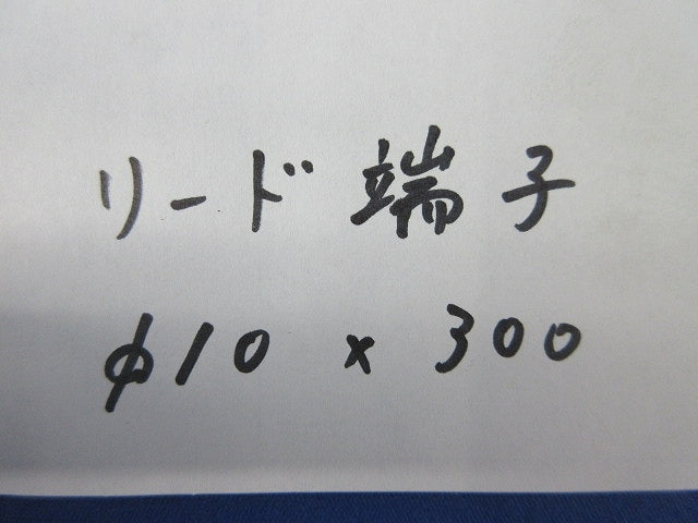 リード端子φ10×300mm(10本入) φ10×300