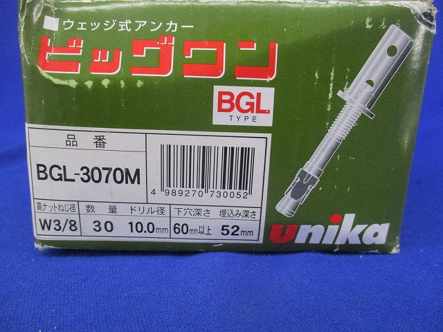 ウェッジ式アンカービッグワン(30個入) BGL-3070M