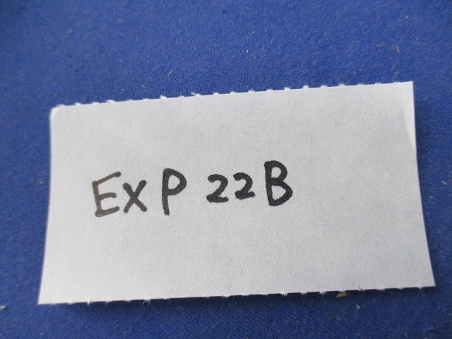 プラグB形(5個入) EXP22B