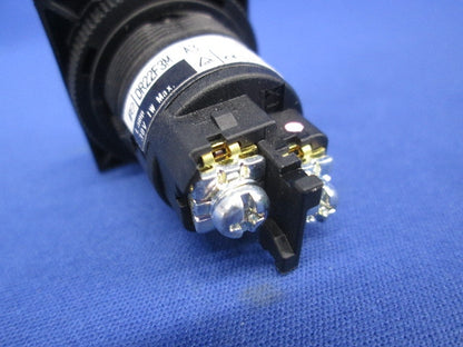 表示灯 DR22F3M-E3R