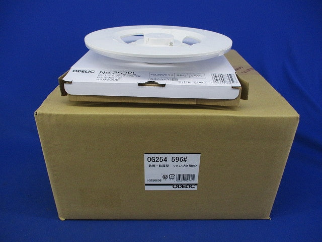 エクステリアポーチライトセット(ランプ付) OG254 +LDF13L-H-GX53/200/R90