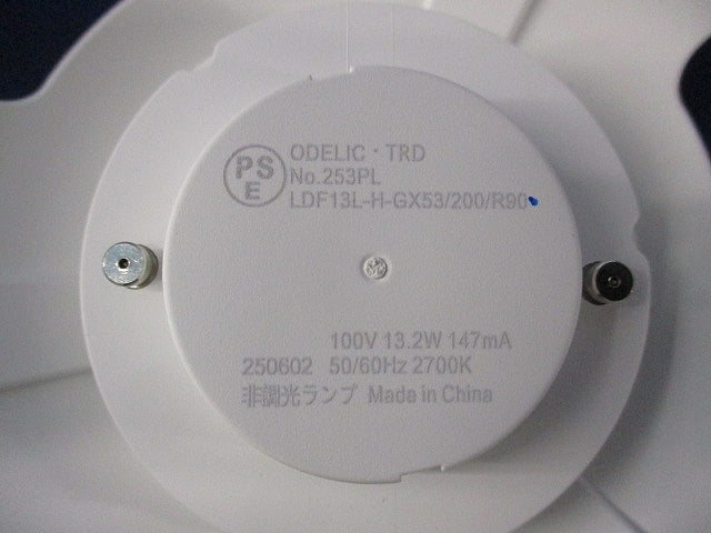 エクステリアポーチライトセット(ランプ付) OG254 +LDF13L-H-GX53/200/R90
