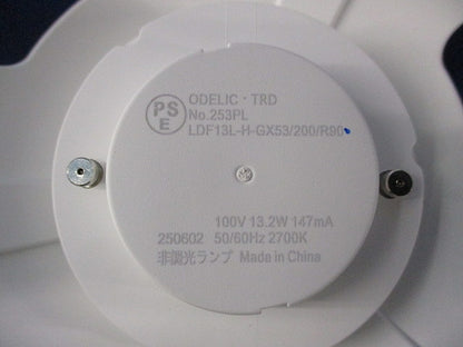 エクステリアポーチライトセット(ランプ付) OG254 +LDF13L-H-GX53/200/R90