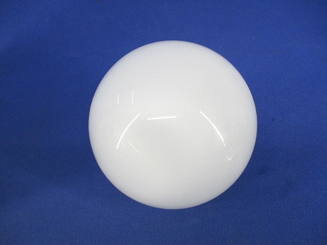 ネオボールZ G形 100W形E26 EFG25EL/20-ZJ