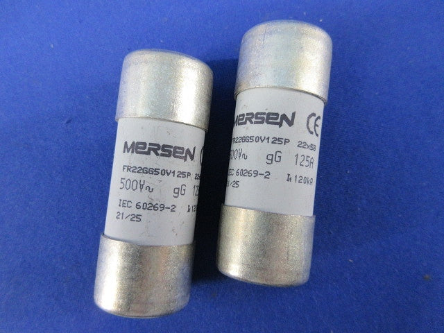SPD外部分離器用指定ヒューズ125A(2個入) FR22GG50V125P