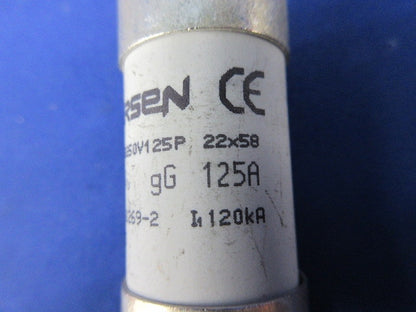 SPD外部分離器用指定ヒューズ125A(2個入) FR22GG50V125P
