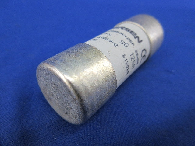 SPD外部分離器用指定ヒューズ125A(2個入) FR22GG50V125P