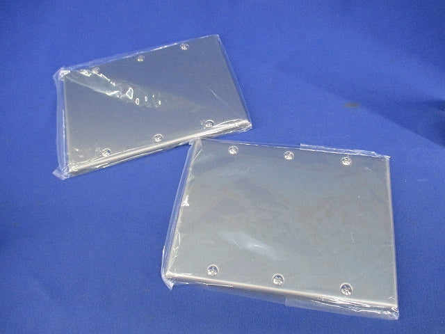 新金属カバープレート3連(取付枠付)(2枚入) WN7593