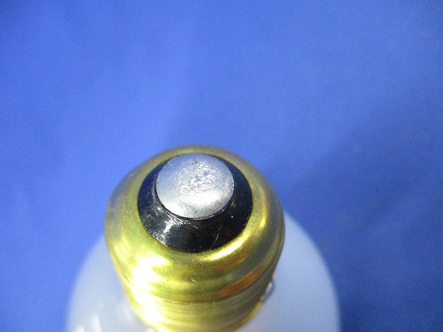 フィラメントLED電球 E26(点灯試験済) LDF89D