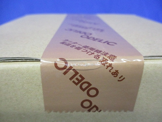 高気密SB形ダウンライトφ150(ランプ別売) OD361232