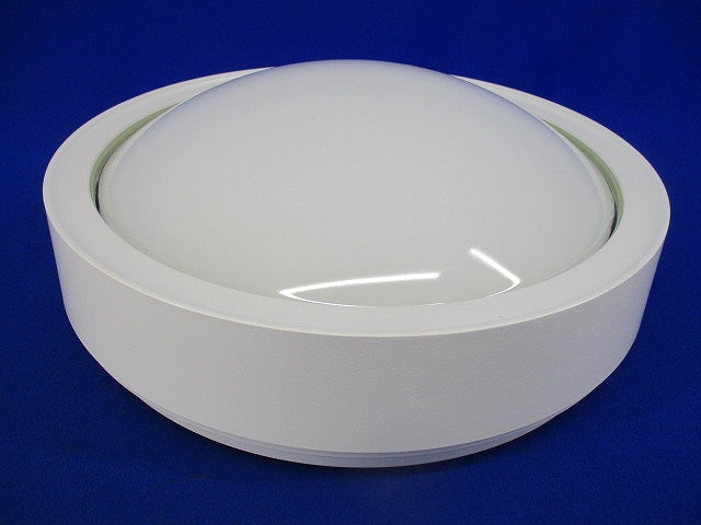 LED非常用照明器具・階段通路誘導灯兼用型 (22年製) NWCF11101CLE1