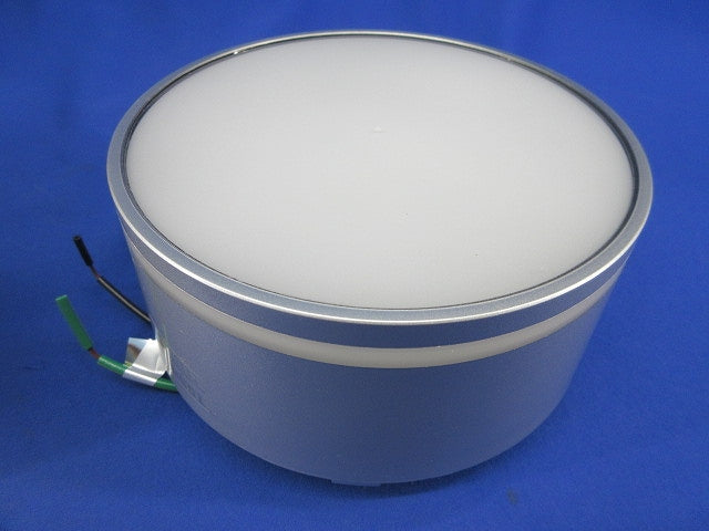 LEDアウトドアシーリングライト ランプ別売(未使用品) LEDG85911(S)