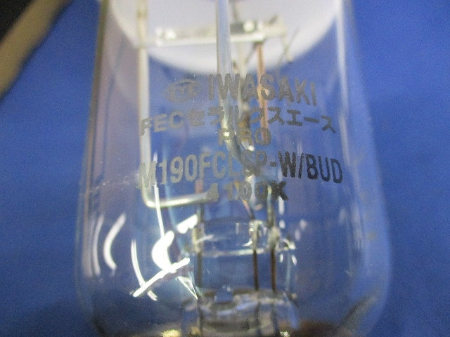 セラルークスエース E39 M190FCLSP-W/BUD