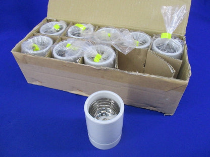 アイ作業用灯交換ソケット E39(9個入) TE-39