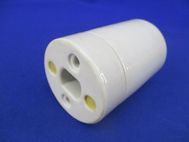 アイ作業用灯交換ソケット E39(9個入) TE-39