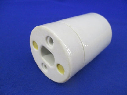 アイ作業用灯交換ソケット E39(9個入) TE-39