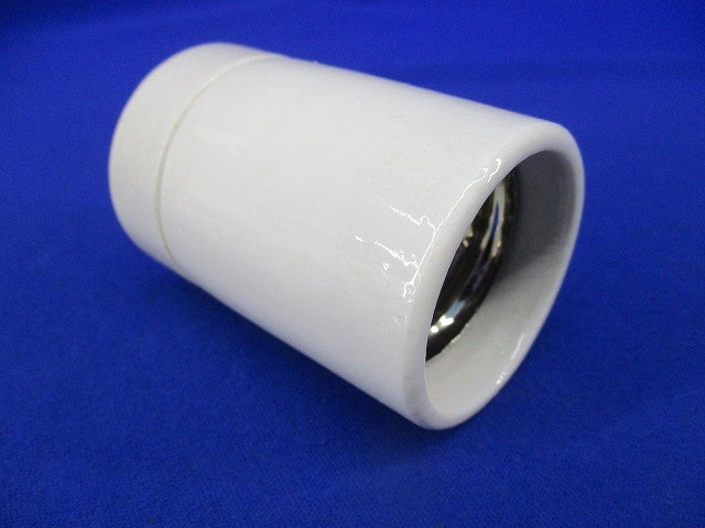アイ作業用灯交換ソケット E39(9個入) TE-39