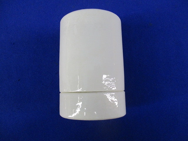 アイ作業用灯交換ソケット E39(9個入) TE-39