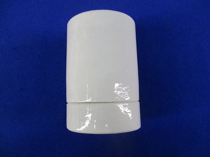 アイ作業用灯交換ソケット E39(9個入) TE-39