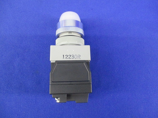 φ22 TWシリーズ パイロットライト APW216D-W