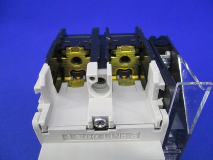 漏電遮断器2P30A EW32AAG