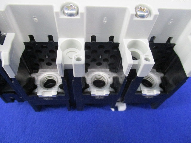 サーキットブレーカ3P60A EW100AAG