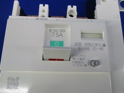 主幹用漏電ブレーカABF型3P2E75A(単3中性線欠相保護付)(箱違い) BJF375325