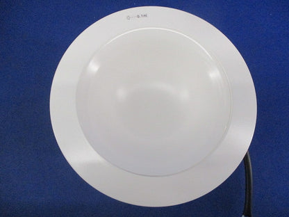 LEDダウンライトφ150(昼白色)(本体のみ) NDN22620