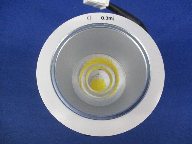 LEDダウンライトφ75(昼白色)(電源ユニット別売) NDN28010SK