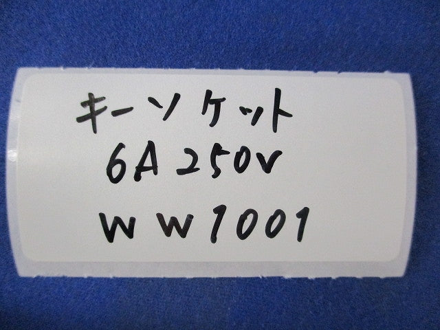 キーソケット(8個入) WW1001