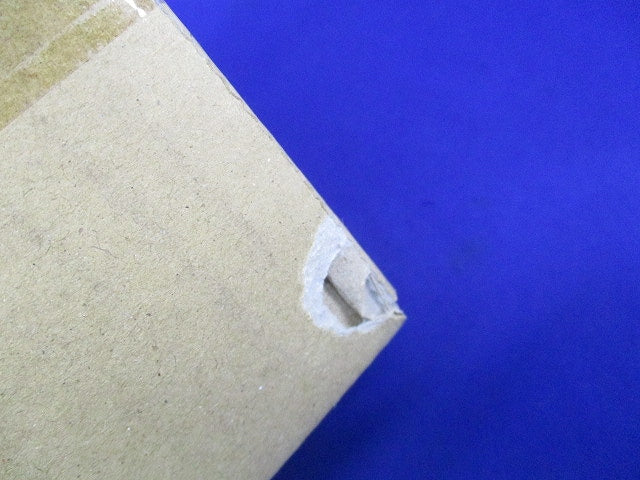 LED非常用照明器具 低天井用(昼白色)(24年製) NNFB90045K