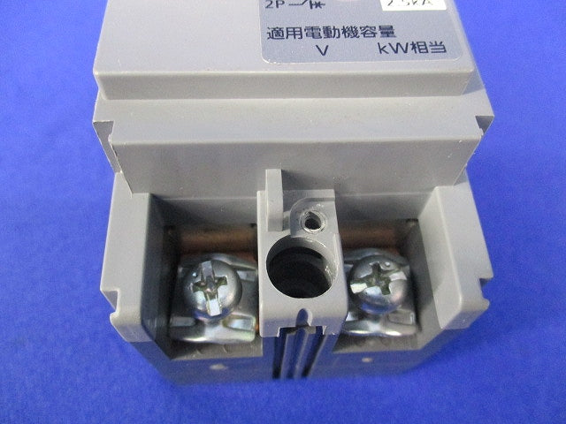 サーキットブレーカ2Ｐ20Ａ BCW-30 BCW220