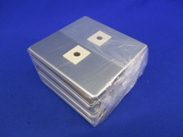 新金属電話線プレート2型2連(7枚入) WN6582