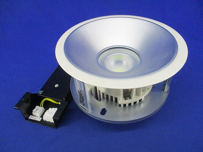 LEDダウンライトφ250 LEDD-75031FN-LD9