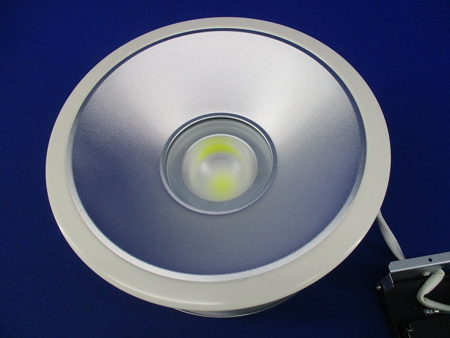 LEDダウンライトφ250 LEDD-75031FN-LD9