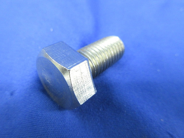 ステンレスボルト(12個入) 12×25
