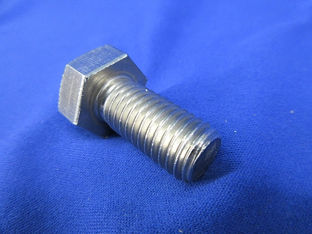 ステンレスボルト(12個入) 12×25