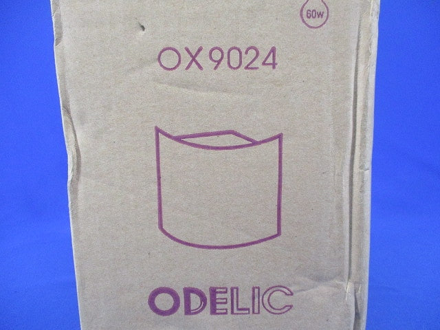 白熱灯屋外用 門柱灯/軒下用 シーリングライト OX9024