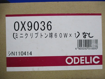 屋外用 白熱灯軒下ダウンライトφ100(電球無) OX9036