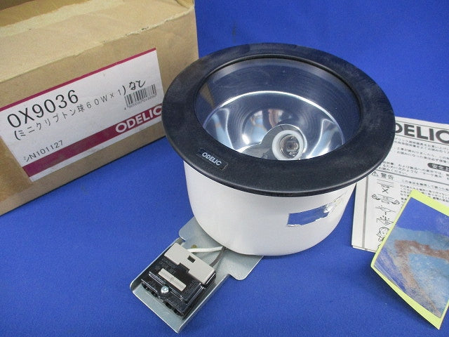 屋外用 白熱灯軒下ダウンライトφ100(電球無) OX9036