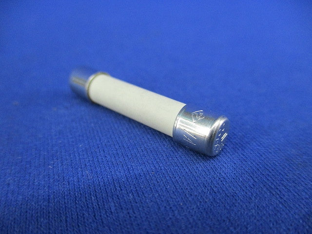 ヒューズ 速断型250VAC 1A(4個入) GAB1