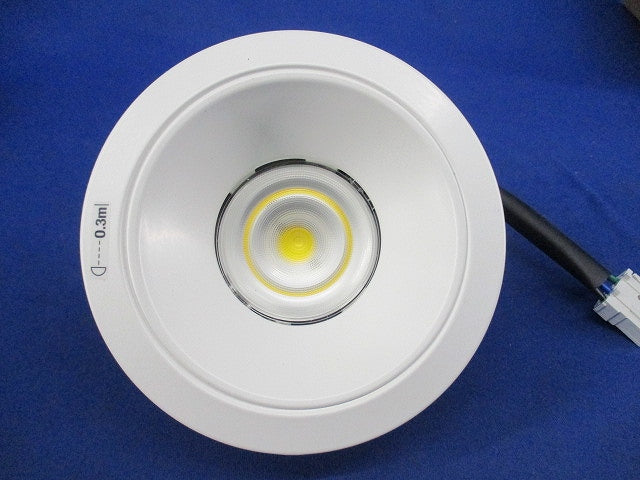 LEDダウンライトφ100(昼白色) NDN28305W