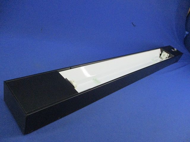 蛍光灯ガレージライト(ライト付) HWC2500KEL