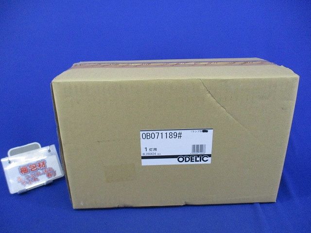 LEDブラケットライト(ランプ別売) OB071189