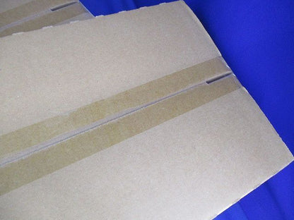 LEDベースライト(昼白色)(2個入) EL-LHV42300