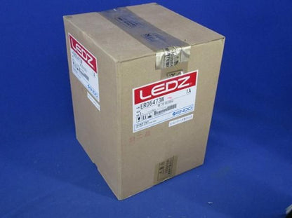 LED軒下用ダウンライトφ100(電球色) ERD5473W