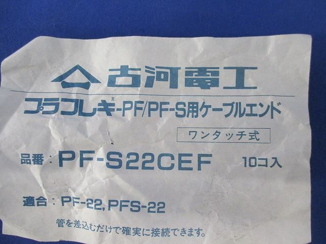 カラーエンド(10個入) PF-S22CEF